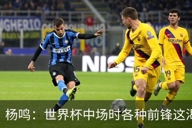 杨鸣：世界杯中场时各种前锋这渴了那饿了全来了 谁能记住后卫呢